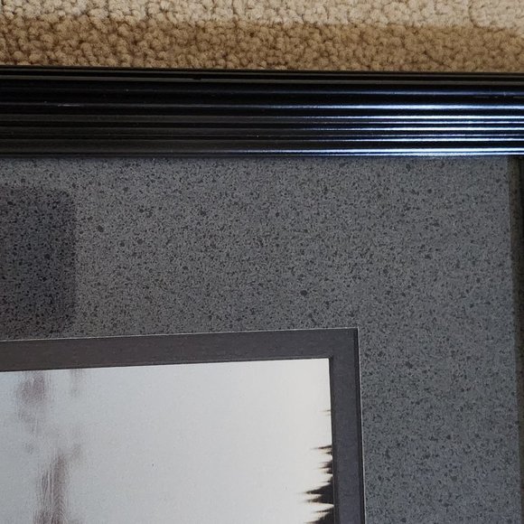 Wildlife Photo Art American Elk in Estes Colorado by Tom Mussehl - Picture 3 of 10